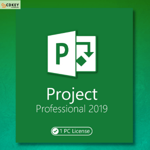 Microsoft project professional 2019 for Windows PC