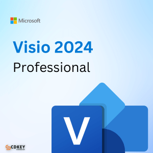 Microsoft Visio Professional 2024 cd key